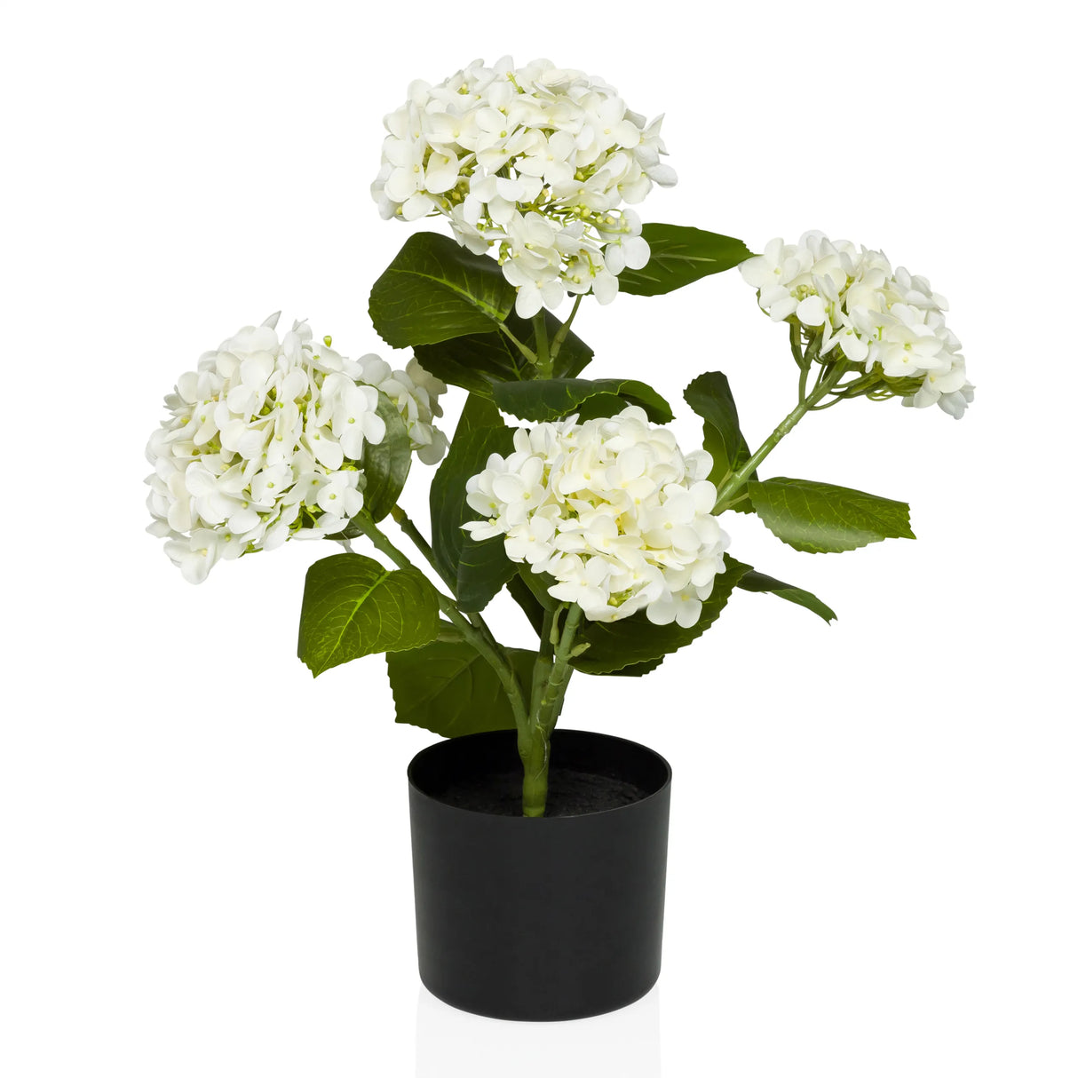HYDRANGEA - Tekokasvi
