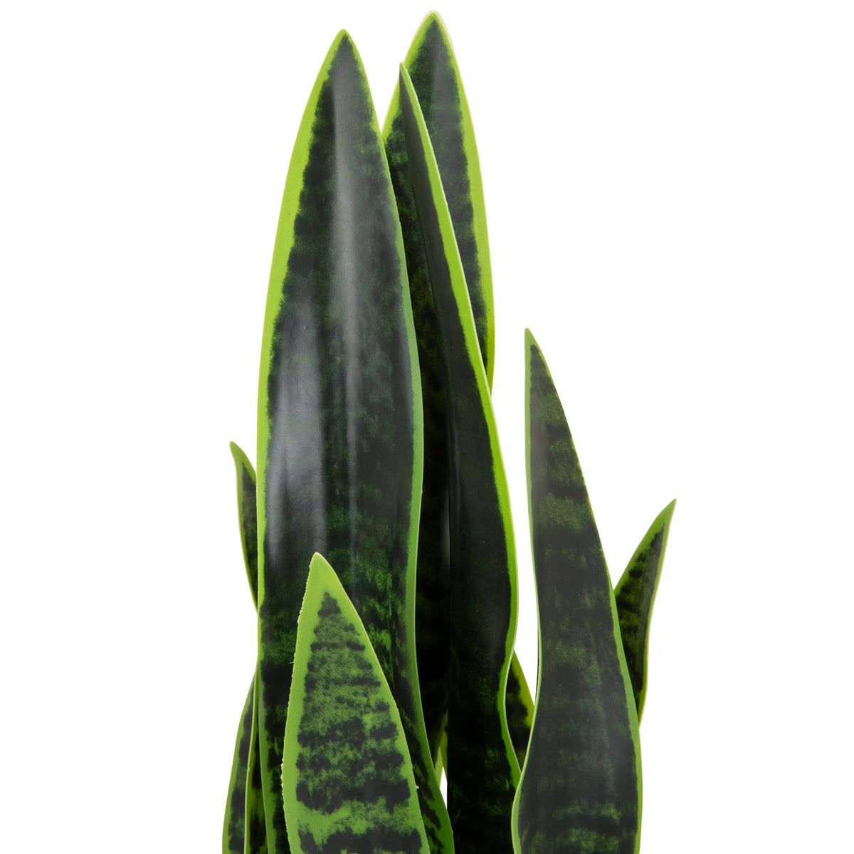 Tekokasvi SANSEVIERIA-kasvin vihreät lehdet, joissa on tummanvihreitä kuvioita, valmistaja hjh OFFICE