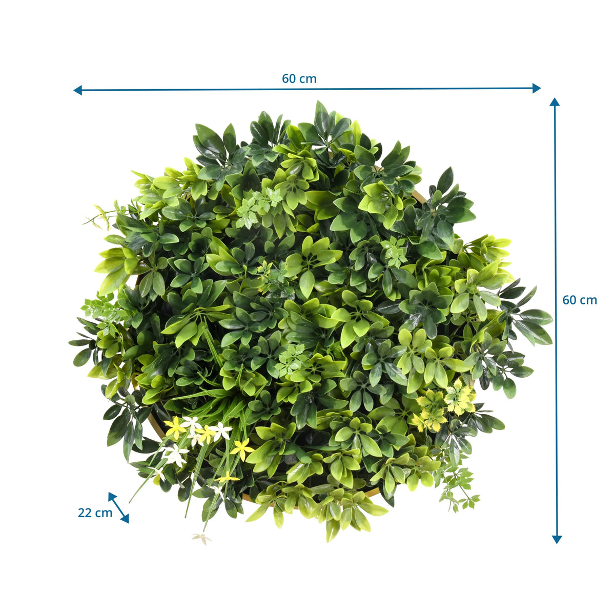 Kasvimatto LEAFLUXE WALL 2 mittojen piirros, 60 × 60 cm ja syvyys 22 cm, valmistaja hjh LIVING