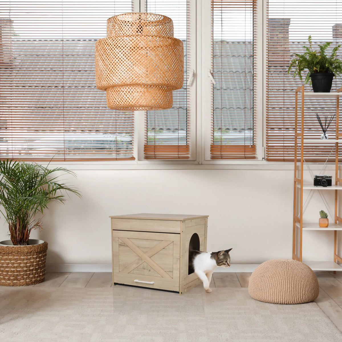 Kissanmaja KITTY PAWBOX 1 tammen värisenä, pyöreällä oviaukolla ja etukoristeella, valmistaja hjh LIVING