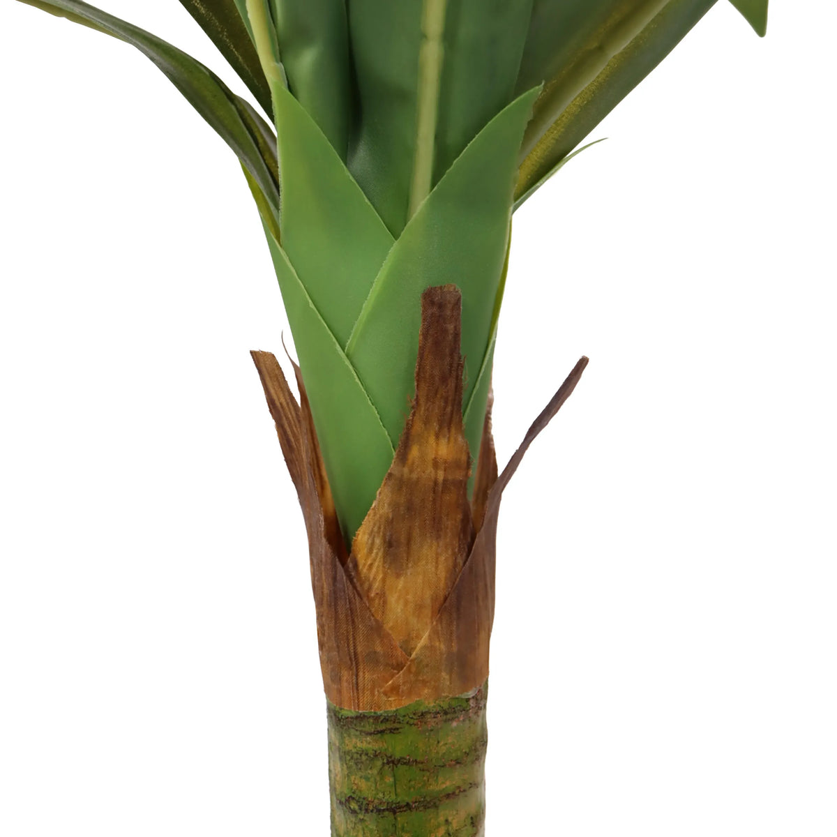 Tekokasvi DRACAENA I-varren tyvi ja vihreät lehdet, valmistaja hjh OFFICE