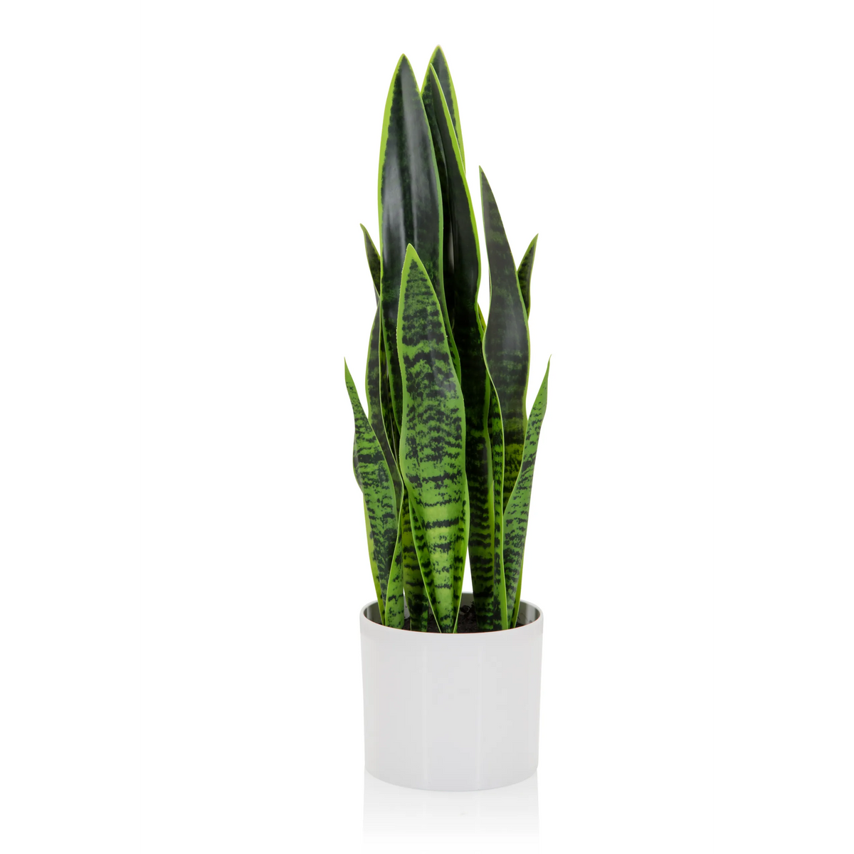 Vihreä Tekokasvi SANSEVIERIA valkoisessa istutusruukussa, valmistaja hjh OFFICE – 360 asteen näkymä (etunäkymä 0°)