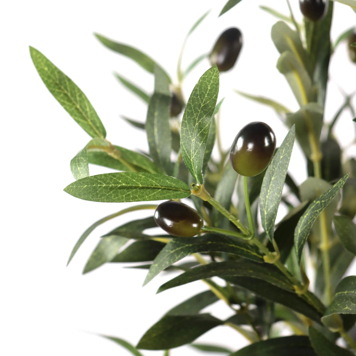 Tekokasvi OLIVE I-kasvin vihreät lehdet ja tummat oliivit, valmistaja hjh OFFICE