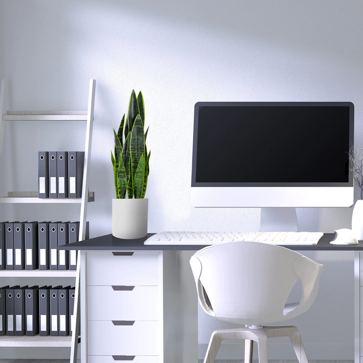 Vihreä tekokasvi SANSEVIERIA valkoisessa ruukussa työpöydällä, valmistaja hjh OFFICE