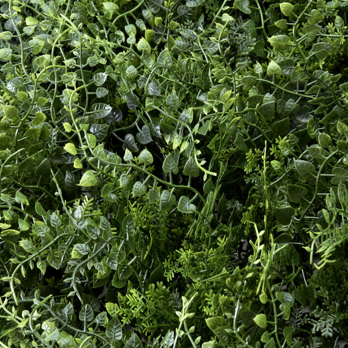LEAFLUXE 2-kasvimaton vihreät lehdet, valmistaja hjh LIVING