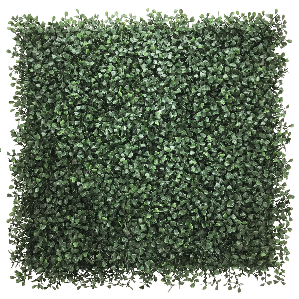 LEAFLUXE 1 - Kasvimatto