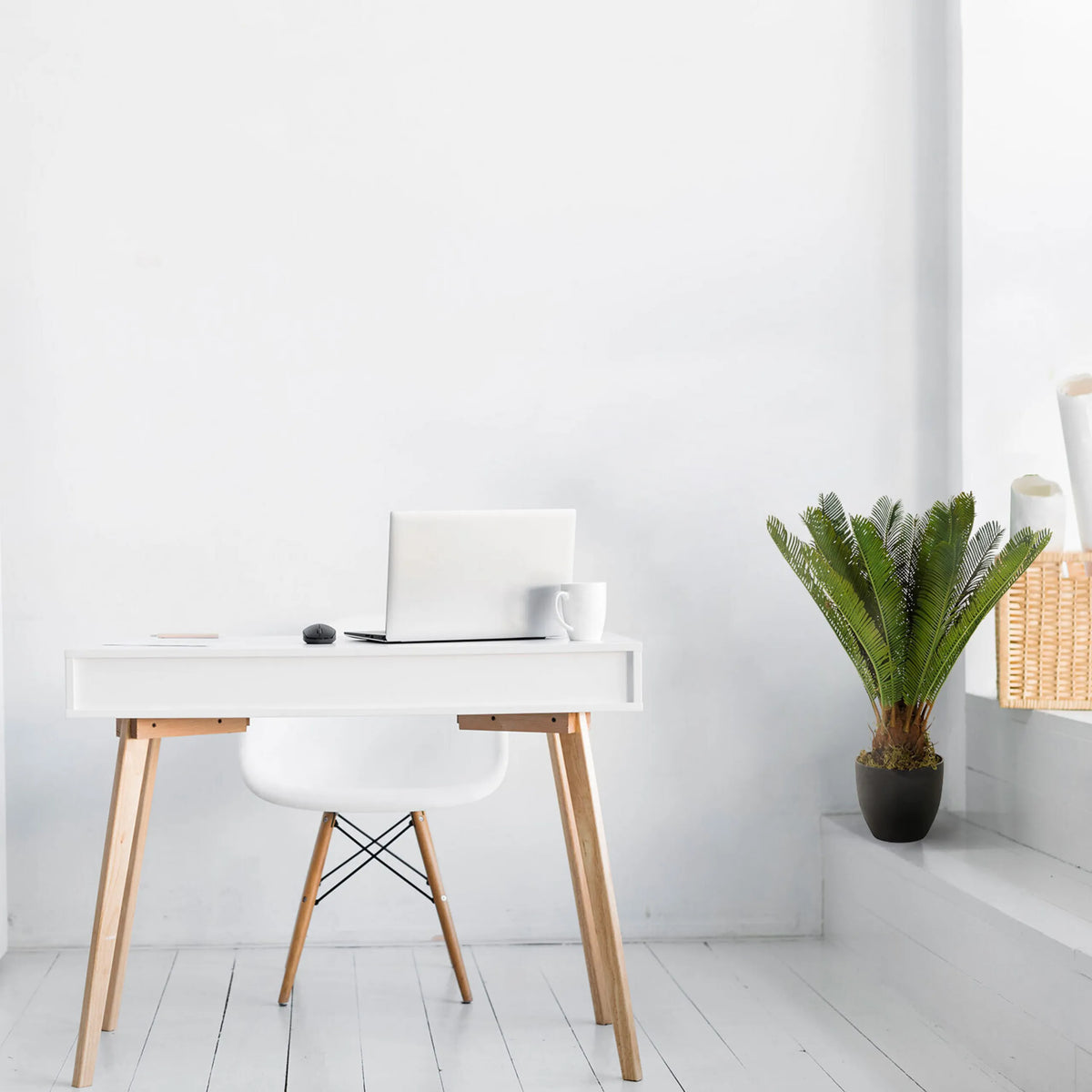 Vihreä tekokasvi CYCAS mustassa ruukussa valkoisen työpöydän vieressä, valmistaja hjh OFFICE