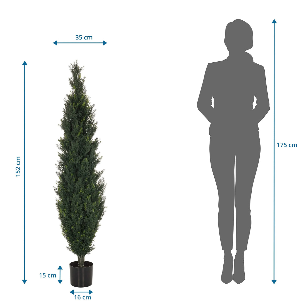 Tekokasvi CEDRUS mitan piirustus, korkeus 152 cm, valmistaja hjh OFFICE