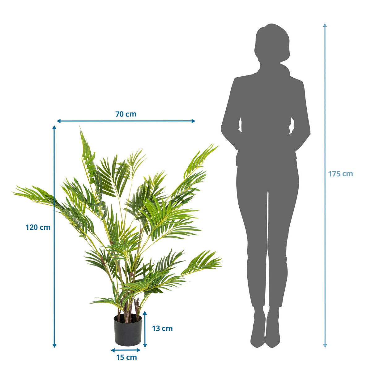 Tekokasvi ARECA I mittojen piirustus, korkeus 120 cm ja leveys 70 cm, valmistaja hjh OFFICE