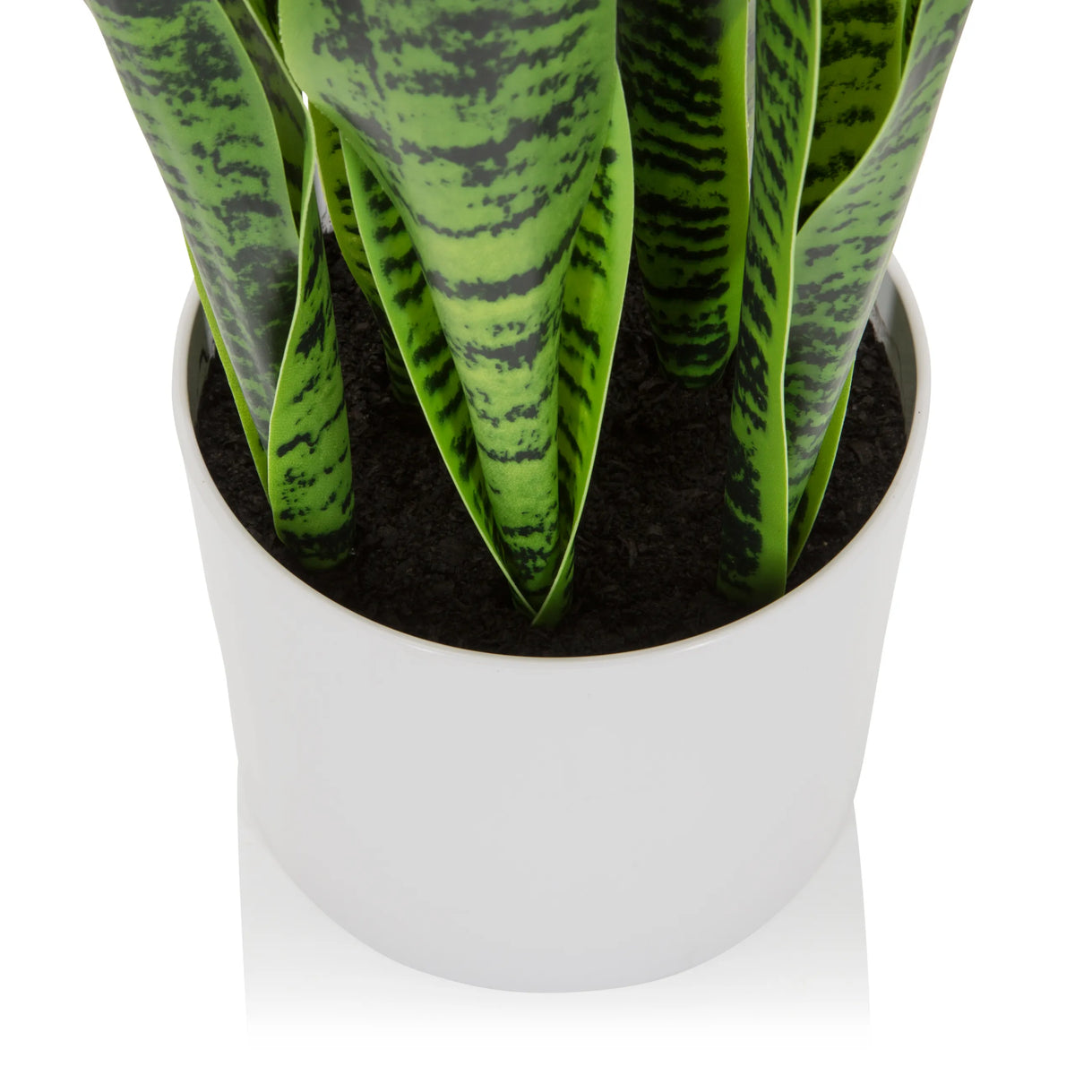 Tekokasvi SANSEVIERIA-kasvin valkoinen ruukku ja vihreät lehdet, valmistaja hjh OFFICE