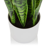 Tekokasvi SANSEVIERIA-kasvin valkoinen ruukku ja vihreät lehdet, valmistaja hjh OFFICE