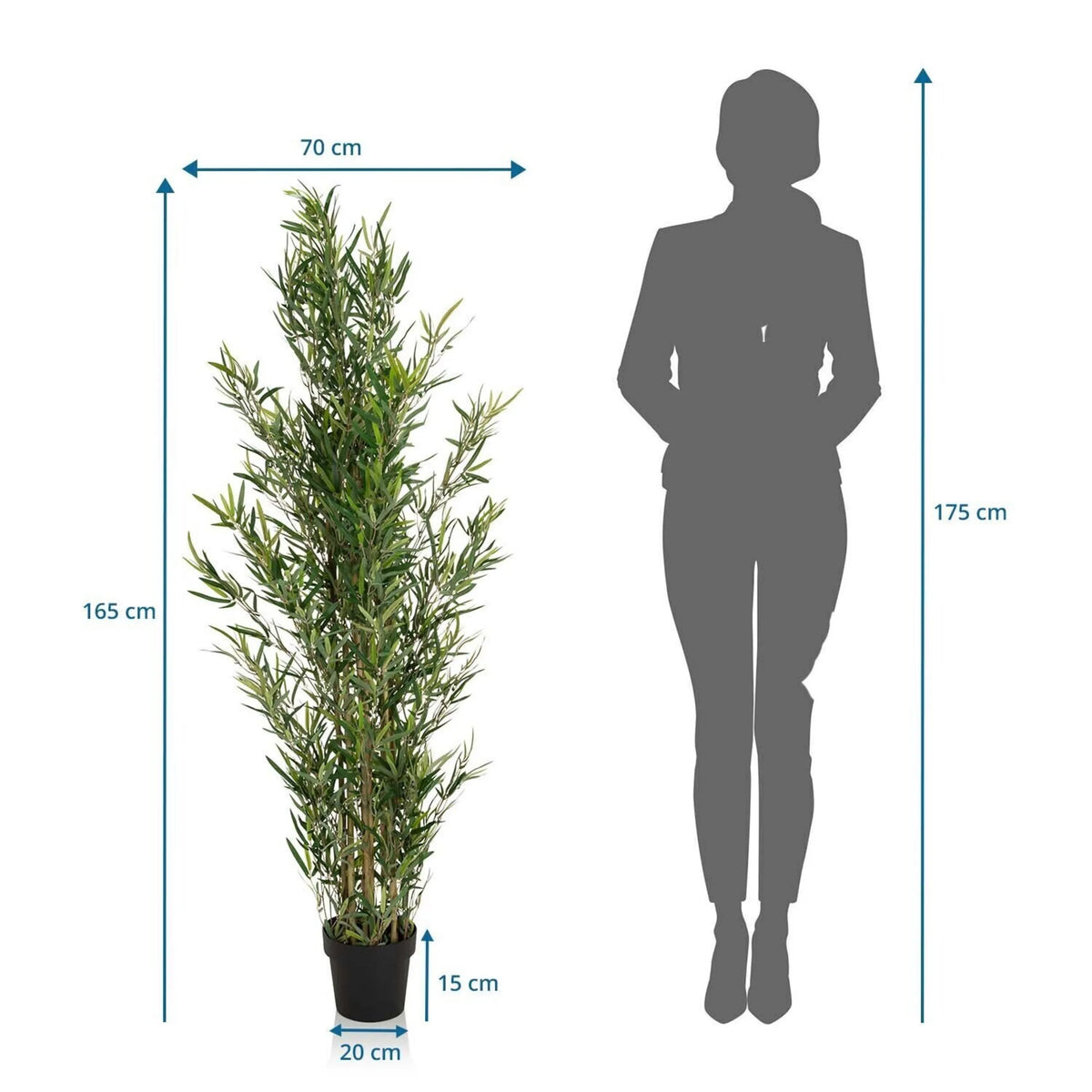 Tekokasvi BAMBUS mittojen piirustus, korkeus 165 cm ja leveys 70 cm, valmistaja hjh OFFICE