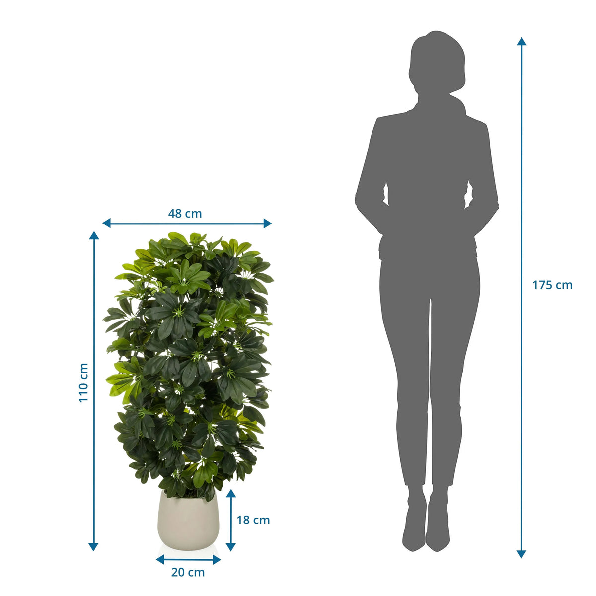 Tekokasvi Schefflera 2 mittapiirustus, korkeus 110 cm ja leveys 48 cm, valmistaja hjh OFFICE