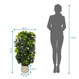 Tekokasvi Schefflera 2 mittapiirustus, korkeus 110 cm ja leveys 48 cm, valmistaja hjh OFFICE