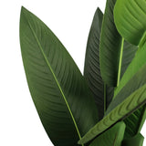 Tekokasvi STRELITZIA-kasvin vihreät lehdet, valmistaja hjh OFFICE