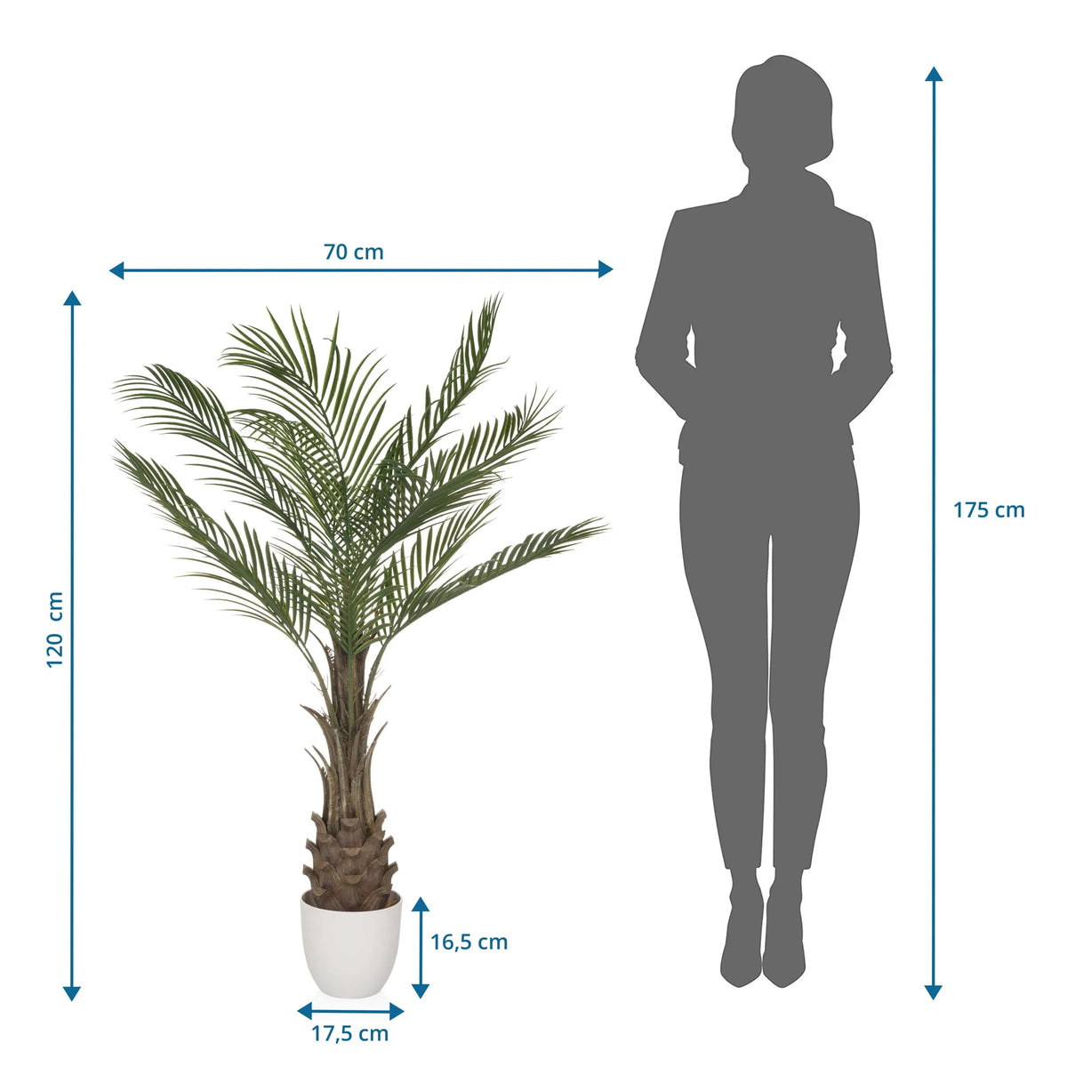 Tekokasvi DRACAENA mittojen piirustus, korkeus 120 cm ja leveys 70 cm, valmistaja hjh OFFICE