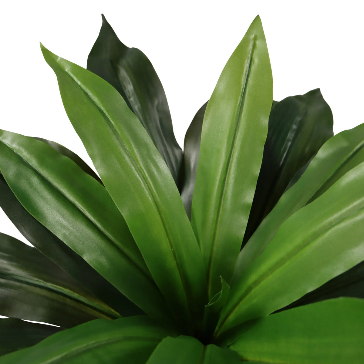 Tekokasvi DRACAENA I-kasvin vihreät lehdet, valmistaja hjh OFFICE