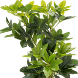 Tekokasvin SCHEFFLERA vihreät lehdet, valmistaja hjh OFFICE