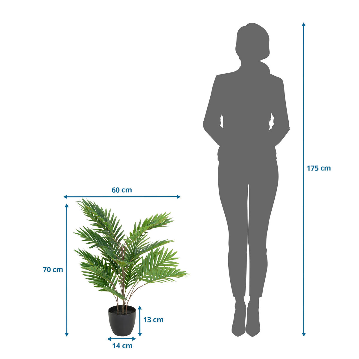 Tekokasvi ARECA mittojen piirustus, korkeus 70 cm ja leveys 60 cm, valmistaja hjh OFFICE