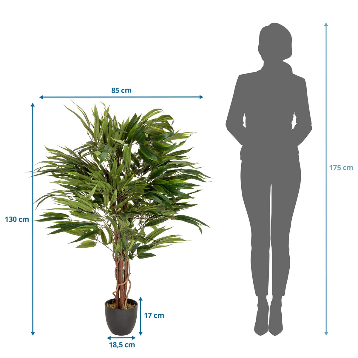 Tekokasvi MANGO mittojen piirustus, korkeus 130 cm ja leveys 85 cm, valmistaja hjh OFFICE