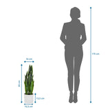 Tekokasvi SANSEVIERIA mittojen esittely, korkeus 65 cm, vieressä henkilön siluetti, valmistaja hjh OFFICE