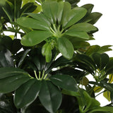 Tekokasvi Schefflera 2-kasvin vihreät lehdet, valmistaja hjh OFFICE