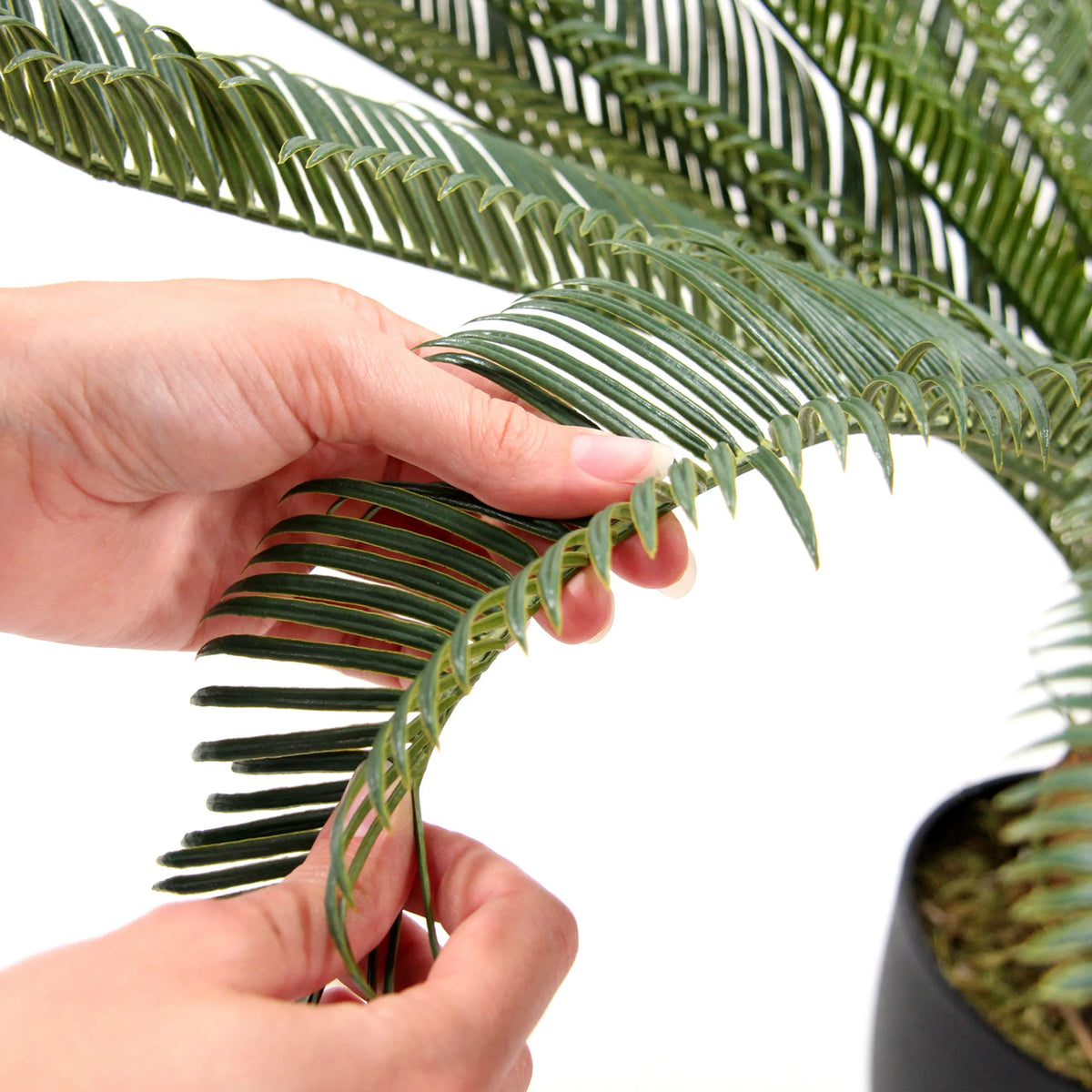 Lähikuva tekokasvi CYCAS -kasvin vihreistä lehdistä, valmistaja hjh OFFICE