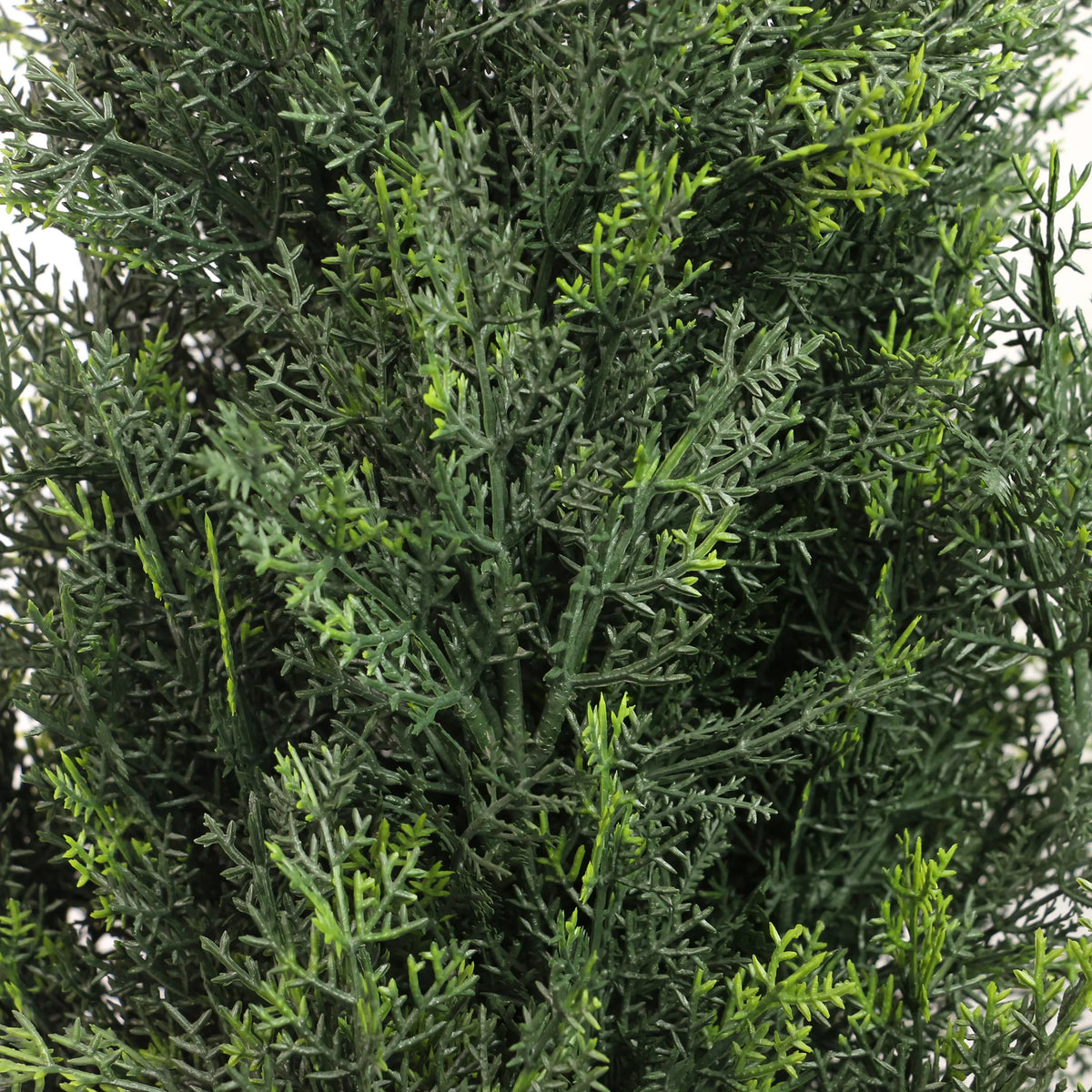 Tekokasvi CEDRUS-oksien vihreät neulaset, valmistaja hjh OFFICE