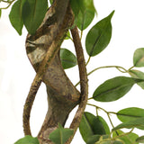 Tekokasvi FICUS I-kasvin strukturoitu ruskea runko ja vihreät lehdet, valmistaja hjh OFFICE