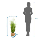 Tekokasvi CORTADERIA mittamallikuva, korkeus 112 cm ja leveys 30 cm, valmistaja hjh OFFICE