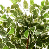 Tekokasvi FICUS-kasvin vihreävalkoiset kirjavat lehdet, valmistaja hjh OFFICE