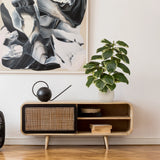 Tekokasvi Ficus 3 vihreänvalkoisena valkoisessa ruukussa lipastolla, valmistaja hjh OFFICE