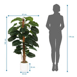 Maßzeichnung der Kunstpflanze EPIPREMNUM mit einer Höhe von 155 cm und Breite von 67 cm von hjh OFFICE