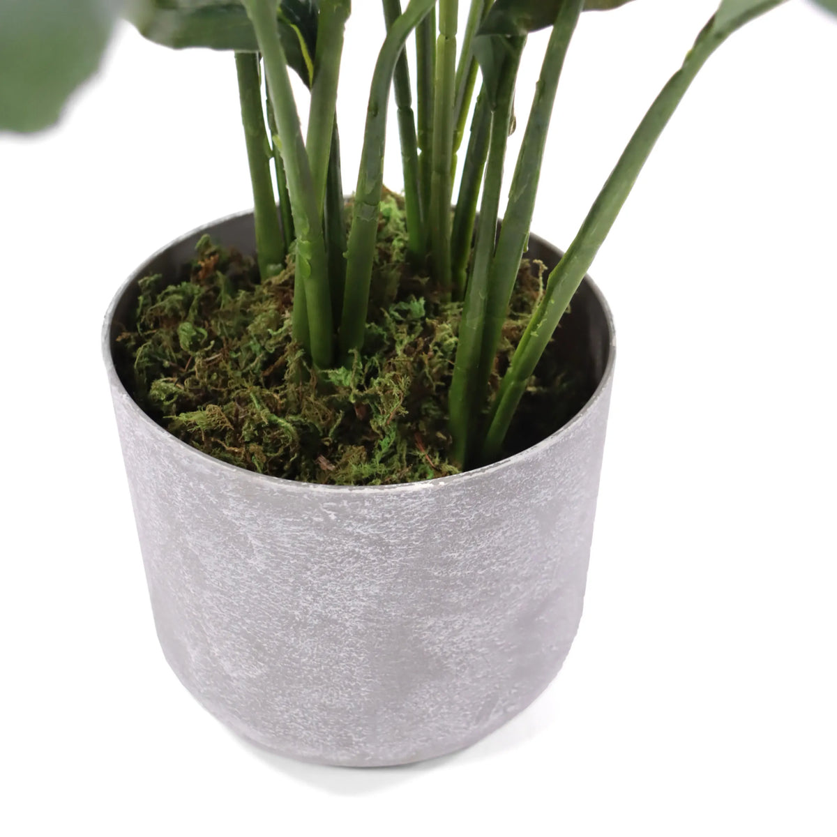 Harmaa ruukku ja vihreä sammal tekokasvi Spathiphyllum 1, valmistaja hjh OFFICE