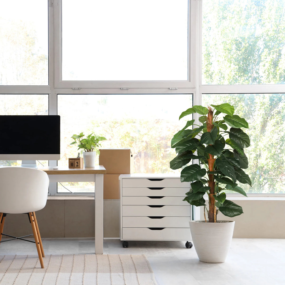 Tekokasvi EPIPREMNUM vihreänä valkoisessa ruukussa valoisassa huoneessa, valmistaja hjh OFFICE