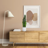 Vihreä tekokasvi SANSEVIERIA valkoisessa ruukussa puisellä senkilla, valmistaja hjh OFFICE