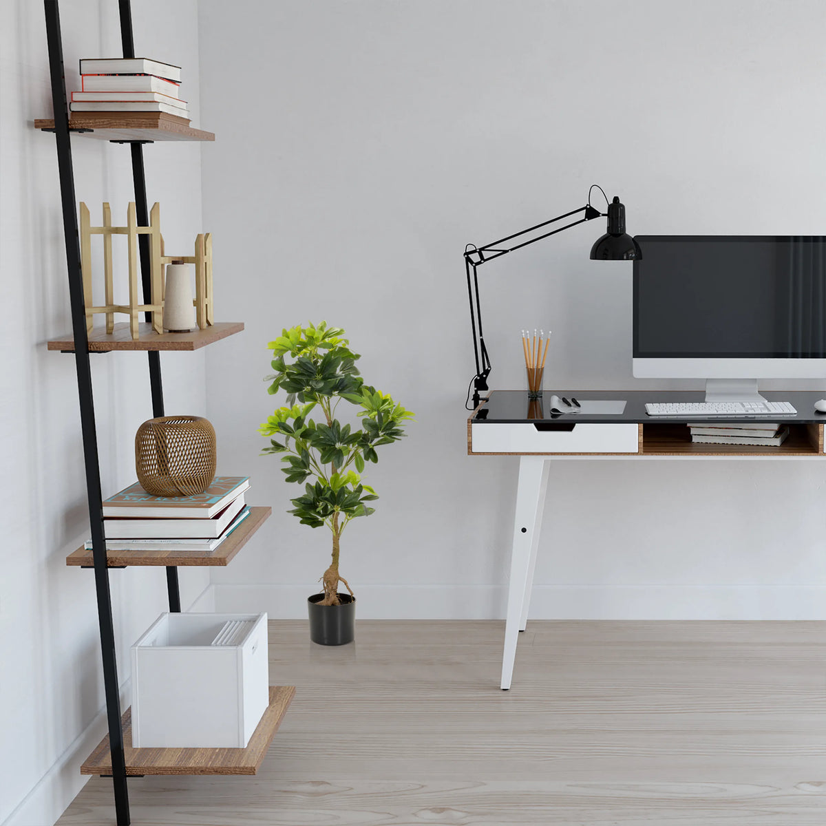Tekokasvi SCHEFFLERA vihreänä mustassa ruukussa huoneessa, valmistaja hjh OFFICE