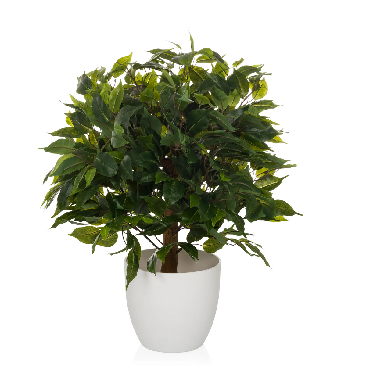 Vihreä Tekokasvi FICUS II valkoisessa ruukussa, valmistaja hjh OFFICE – 360 asteen näkymä (etunäkymä 0°)