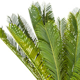 Tekokasvi CYCAS-kasvin vihreät lehdet, valmistaja hjh OFFICE