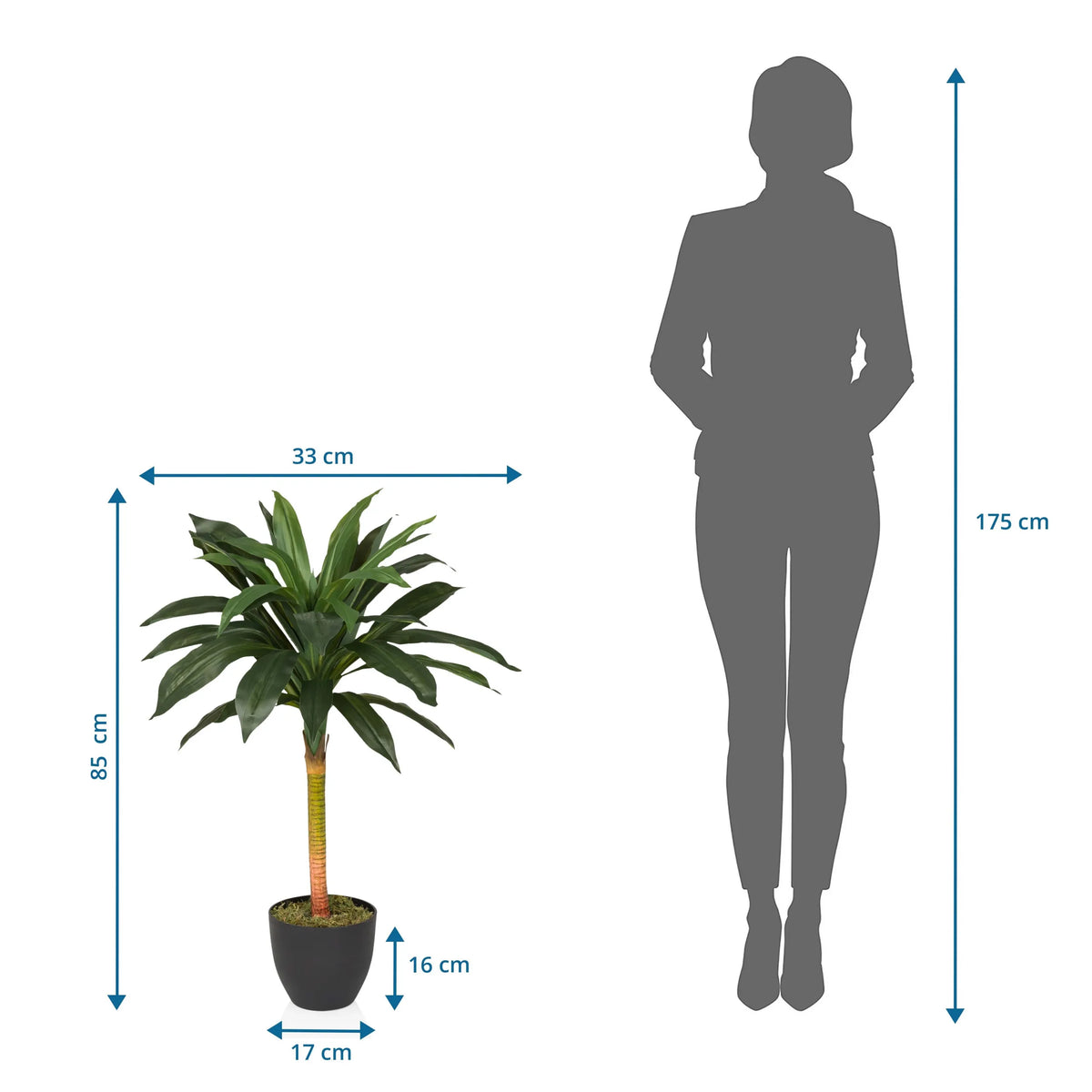 Tekokasvi DRACAENA I mittojen piirros, korkeus 85 cm ja leveys 33 cm, valmistaja hjh OFFICE