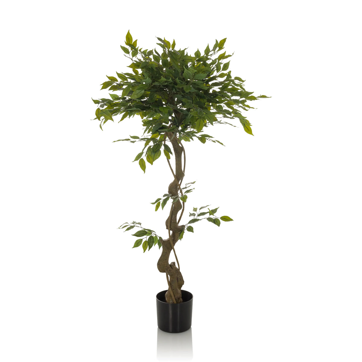 Vihreä Tekokasvi FICUS I punotulla varrella mustassa ruukussa, valmistaja hjh OFFICE – 360 asteen näkymä (etunäkymä 0°)