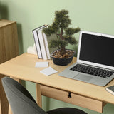 Tekokasvi BONSAI pienen bonsainäköisenä mustassa ruukussa työpöydällä, valmistaja hjh OFFICE
