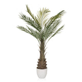 Vihreä Tekokasvi DRACAENA palmun muodossa valkoisessa ruukussa, valmistaja hjh OFFICE – 360 asteen näkymä (sivuprofiili 90°)