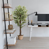 Tekokasvi FICUS vihreänä punotussa korissa, valmistaja hjh OFFICE