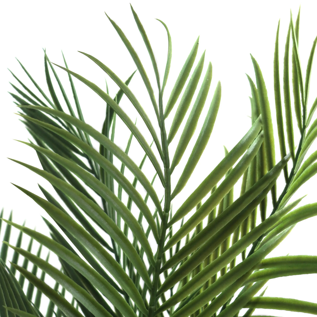 Tekokasvi DRACAENA-kasvin vihreät lehdet, valmistaja hjh OFFICE