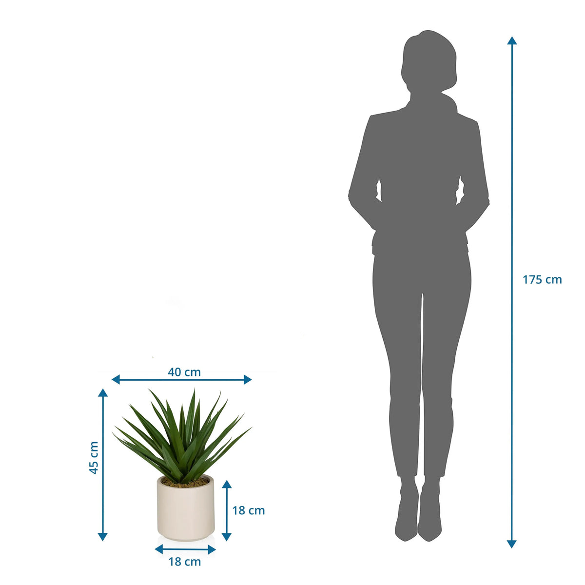 Tekokasvi Agave mittojen piirustus, korkeus 45 cm ja leveys 40 cm, valmistaja hjh OFFICE