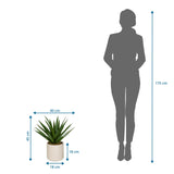 Tekokasvi Agave mittojen piirustus, korkeus 45 cm ja leveys 40 cm, valmistaja hjh OFFICE