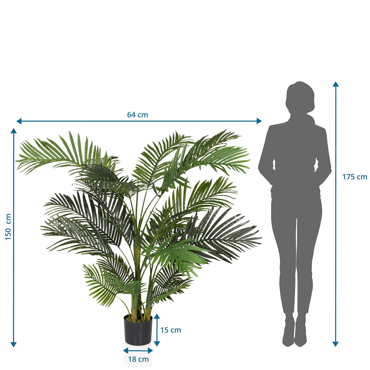 Tekokasvi ARECA II mittojen piirustus, korkeus 150 cm ja leveys 64 cm, valmistaja hjh OFFICE
