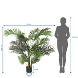 Tekokasvi ARECA II mittojen piirustus, korkeus 150 cm ja leveys 64 cm, valmistaja hjh OFFICE
