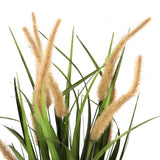 CORTADERIA I-tekokasvin beige-vihreät heinät ja pörröiset kukinnot, valmistaja hjh OFFICE